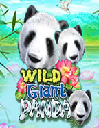 รีวิวเกม โจ๊ก เกอร์ 666 ที่ทุกคนตามหาความสนุก